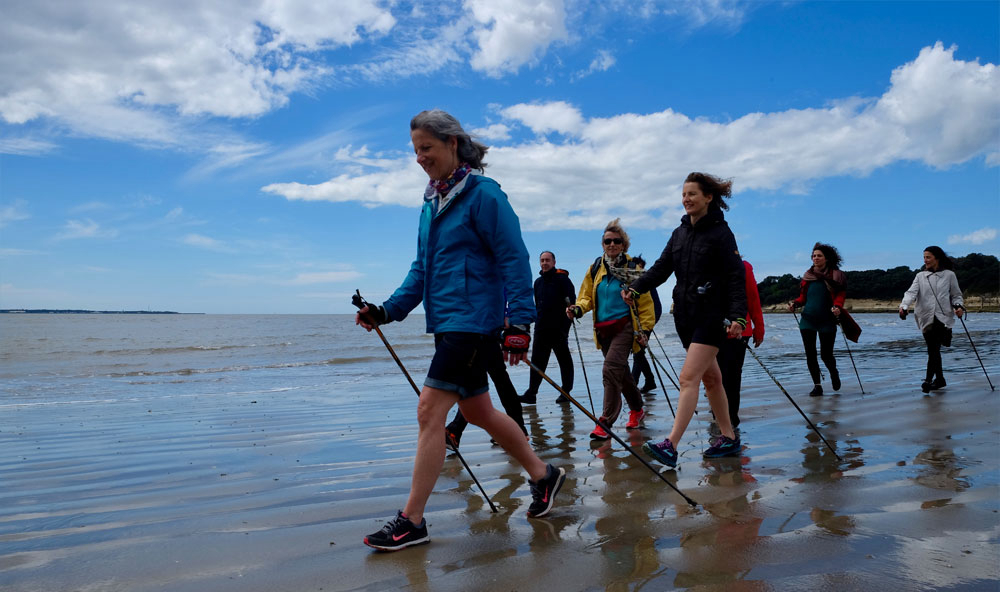 Entre Mer Et Forêt Poitou-Charentes - Meschers-sur-Gironde visuel 7/13