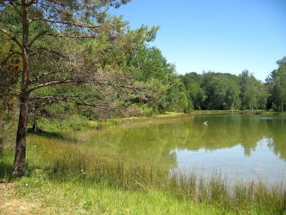 Camping Etang Bleu Aquitaine - Vieux-Mareuil visuel 8/8