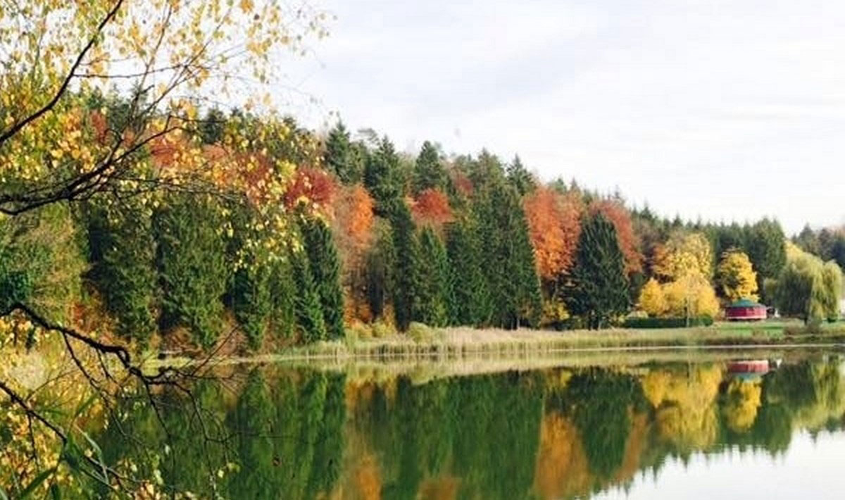 Foxycamp Le Longeau Lorraine - Hannonville-sous-les-Côtes visuel 1/2 Foxycamp Le Longeau Lorraine - Hannonville-sous-les-Côtes visuel 1/2