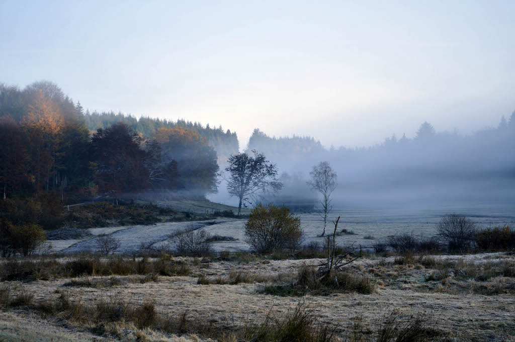 Guillerin Limousin - Sornac visuel 1/1