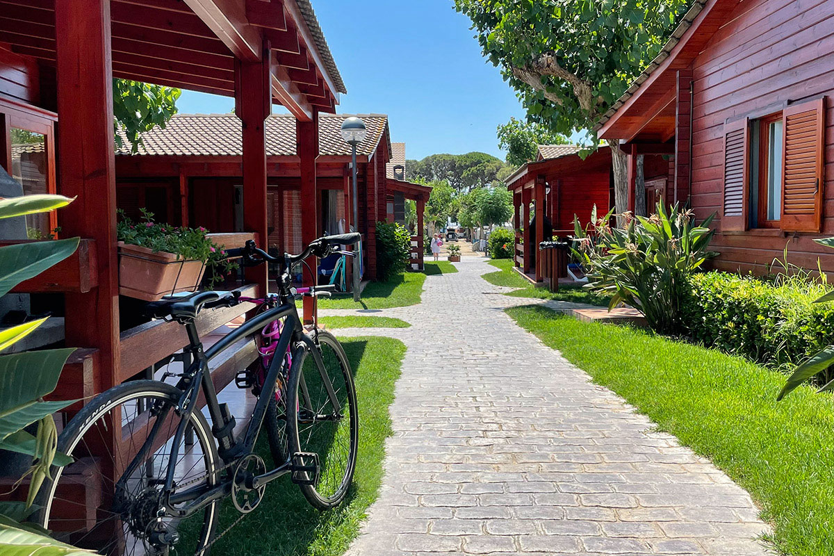 Joan Costa Dorada - Cambrils visuel 8/14