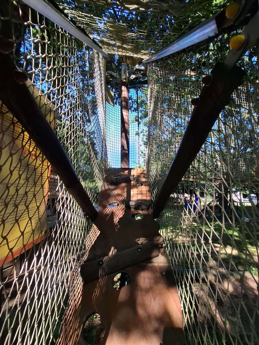 L'Ambois Pays de Loire - Mouilleron-le-Captif visuel 28/32