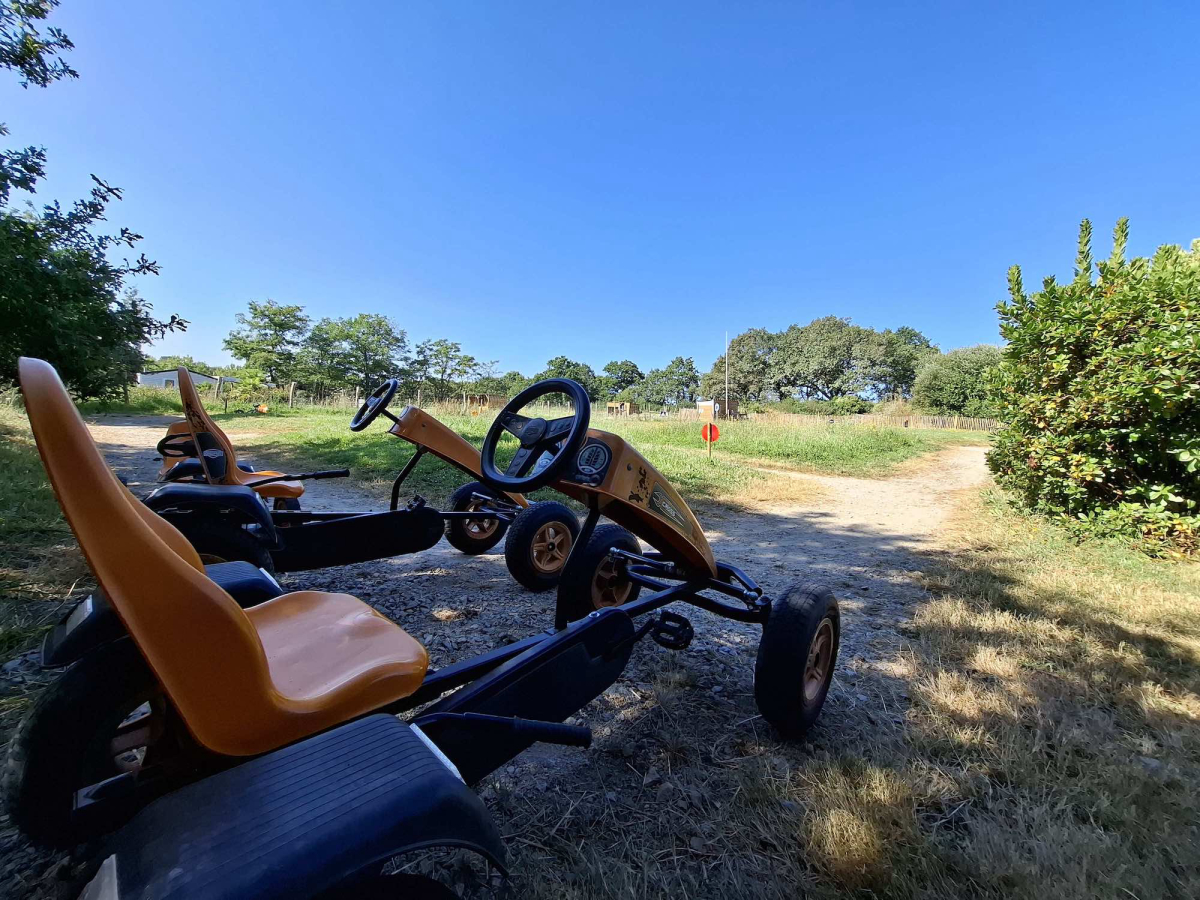 L'Ambois Pays de Loire - Mouilleron-le-Captif visuel 24/32