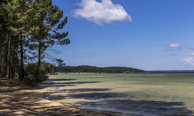 L'Arbre d'Or Aquitaine - Parentis-en-Born visuel 4/5