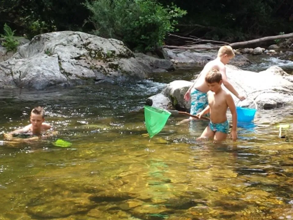 Camping L'Ardéchois Rhône-Alpes - Saint-Sauveur-de-Montagut visuel 6/12