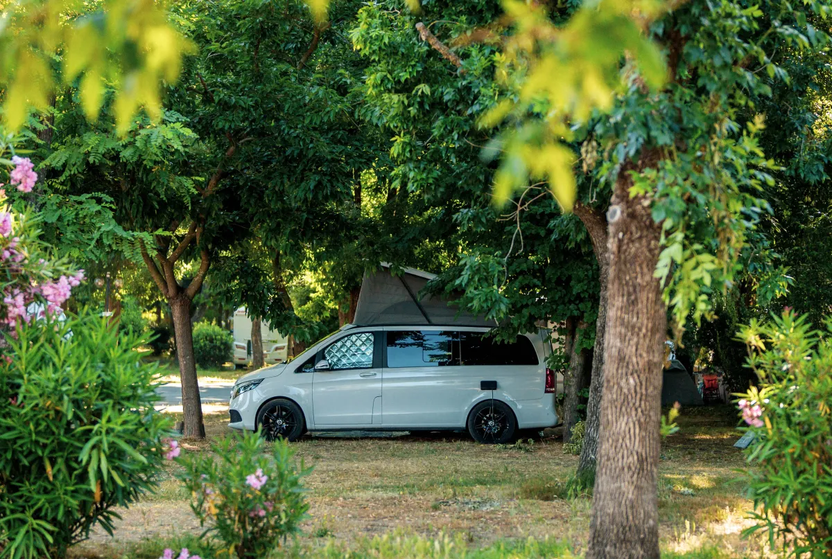 Camping L'Argentière Provence-Alpes-Côte d'Azur - Cogolin visuel 12/14