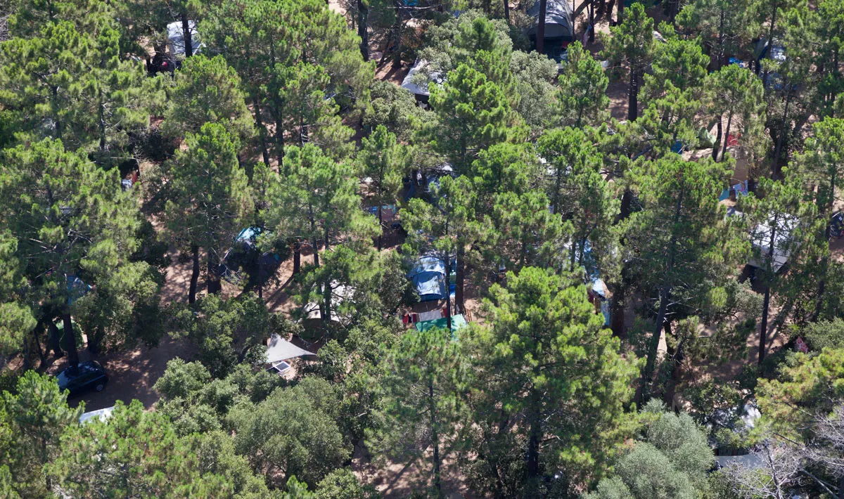 Camping L'Arutoli Corse - Porto-Vecchio visuel 5/6