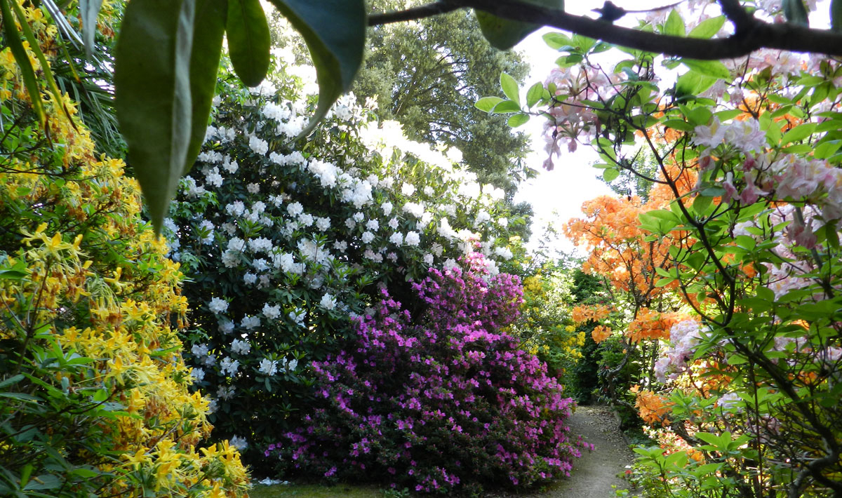 L'Orangerie de Lanniron Bretagne - Quimper visuel 12/18 L'Orangerie de Lanniron Bretagne - Quimper visuel 12/18