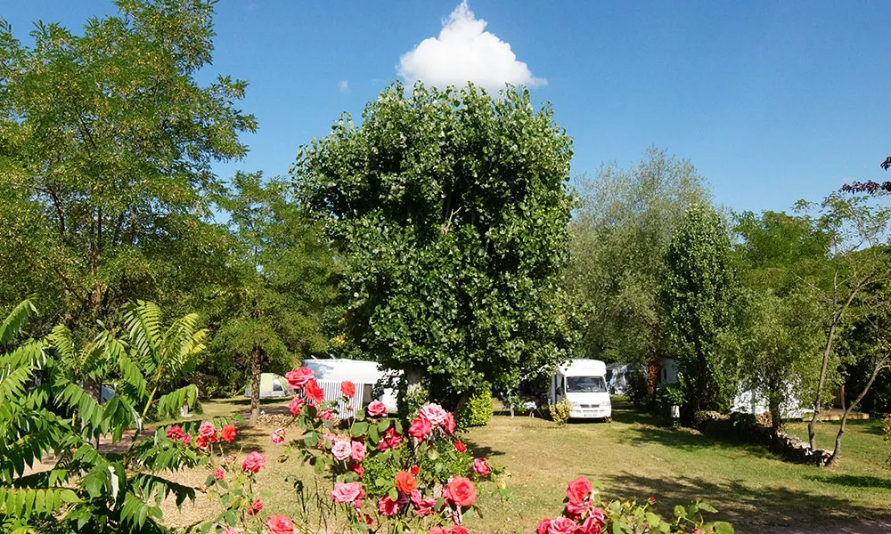 Camping L'oree Du Lac Rhône-Alpes - VILLEREST visuel 3/4