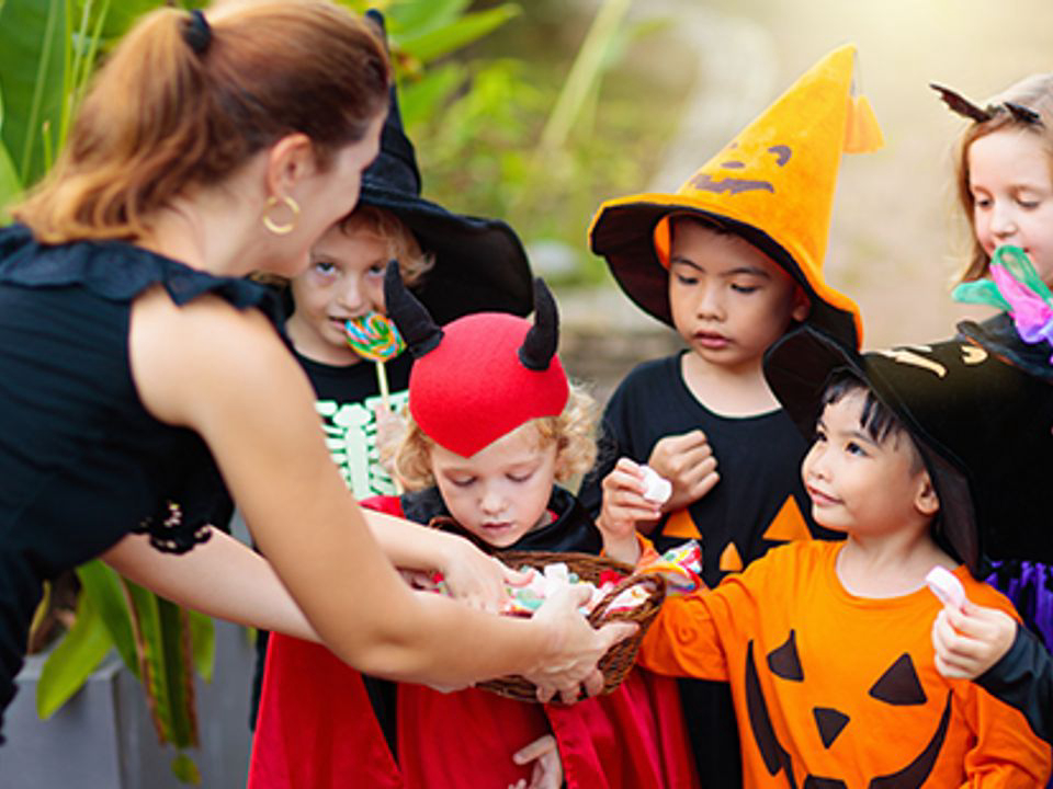 La Berge Fleurie Languedoc-Roussillon - Mialet visuel 4/5