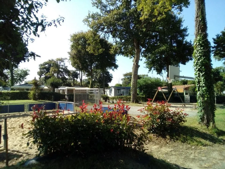 Camping La Cailletière Poitou-Charentes - Dolus d'Oléron visuel 5/10