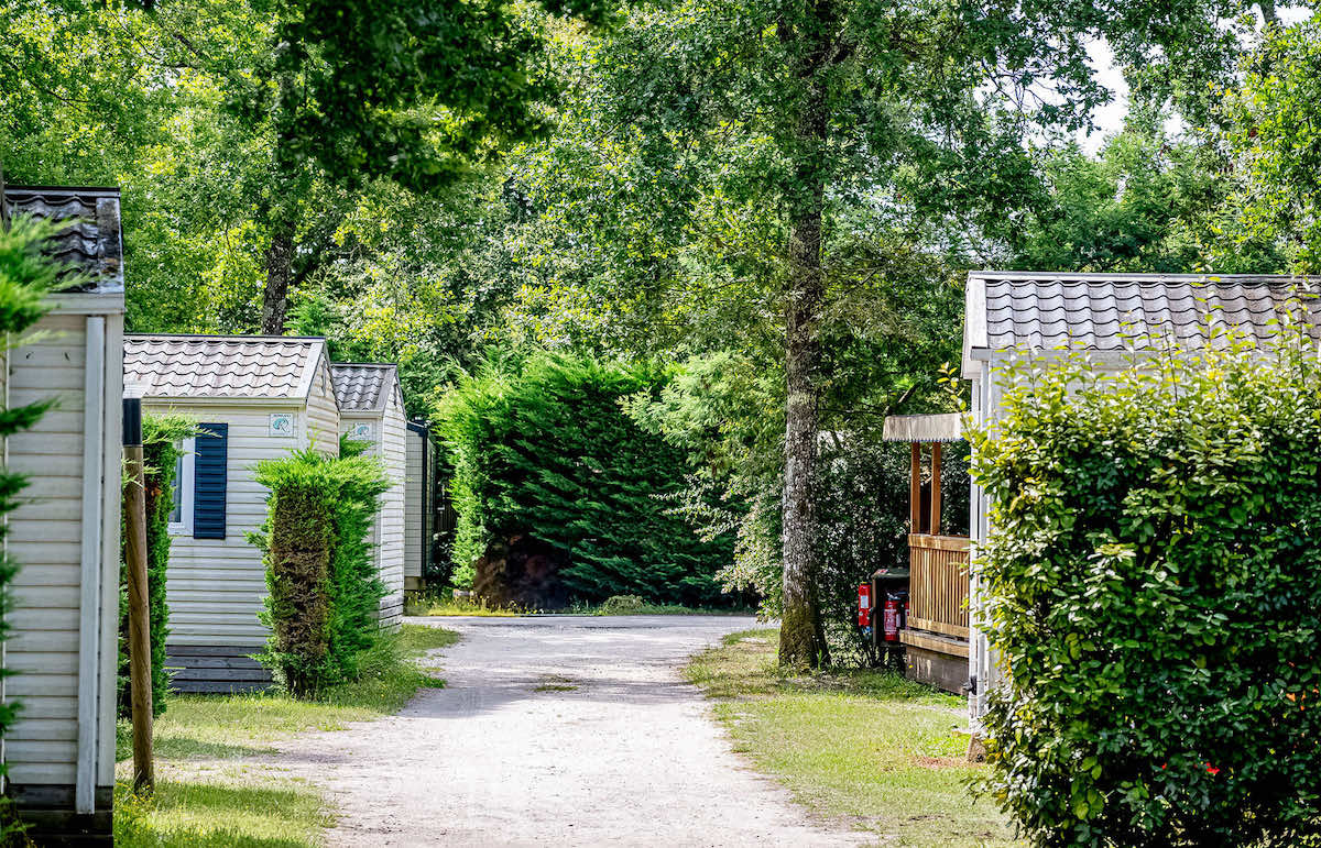 La Canadienne Aquitaine - Arès visuel 15/22