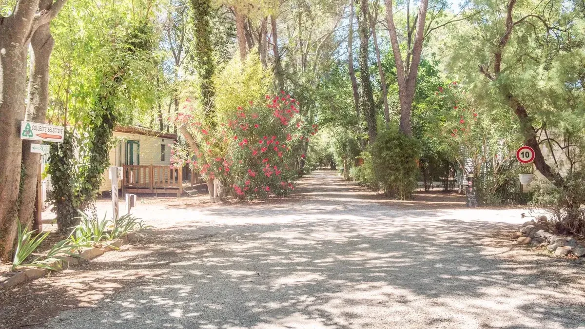 Camping La Chapelette Provence-Alpes-Côte d'Azur - Saint-Martin-de-Crau visuel 9/21