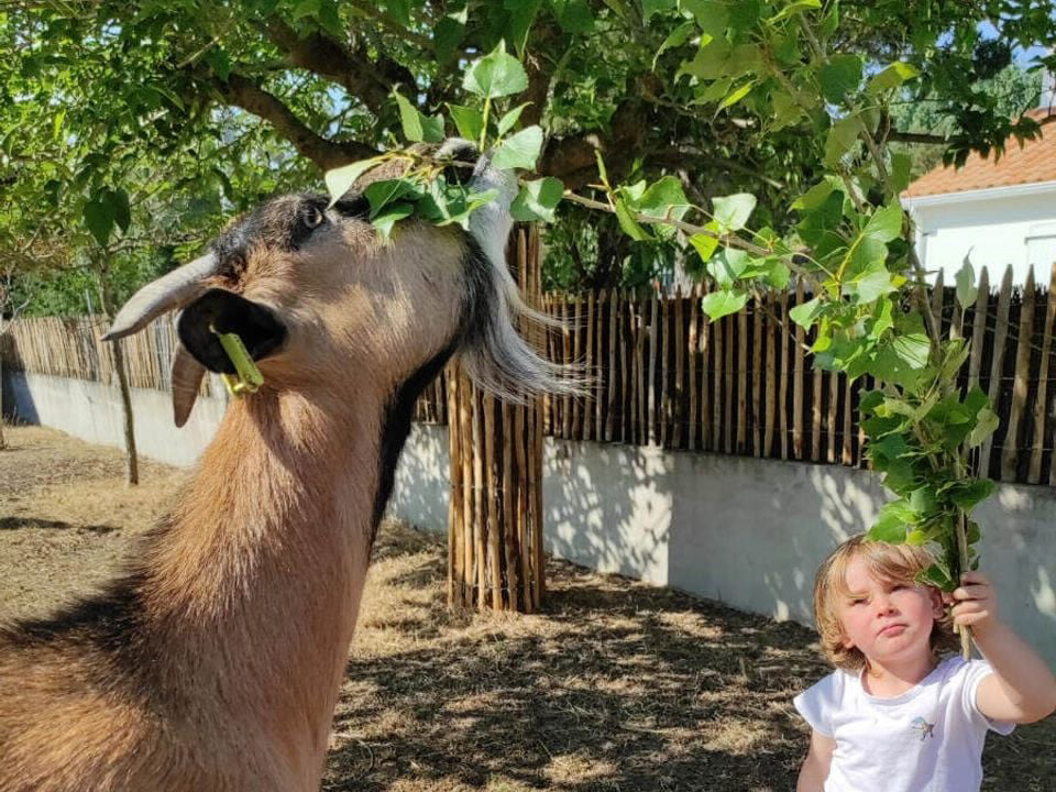 La Conge Pays de Loire - Saint-Hilaire-de-Riez visuel 4/7