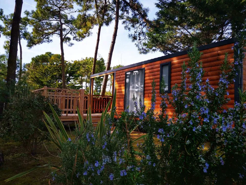 Camping La Conge Pays de Loire - Saint-Hilaire-de-Riez visuel 5/7