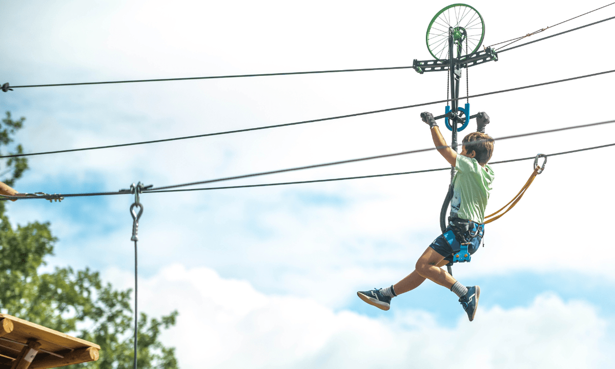 La Farigoulette Provence-Alpes-Côte d'Azur - Saint-Laurent-du-Verdon visuel 6/22