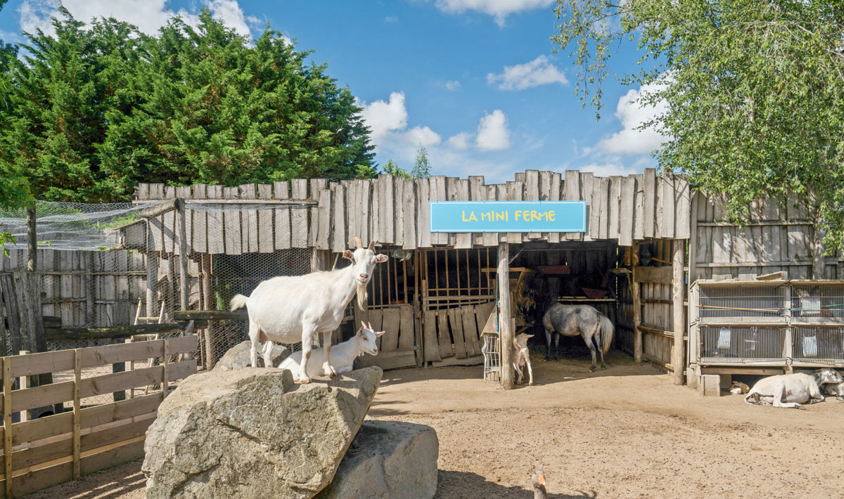 La Grand'Métairie Pays de Loire - Saint-Hilaire-la-Forêt visuel 9/28