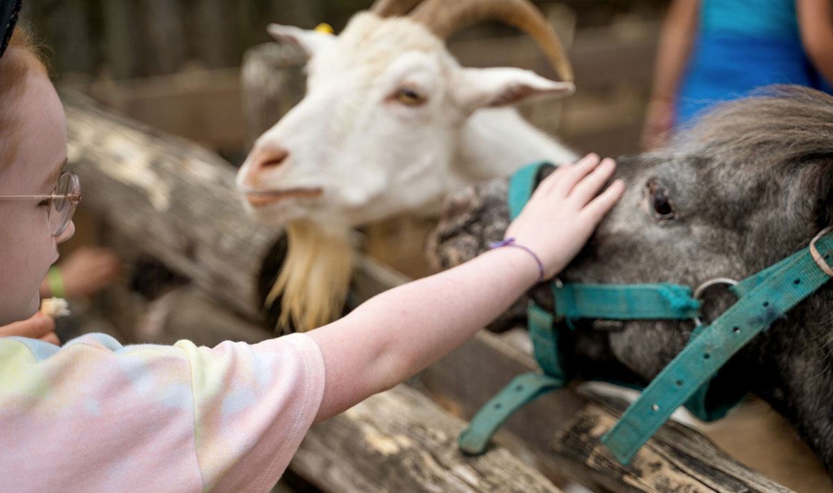 La Grand'Métairie Pays de Loire - Saint-Hilaire-la-Forêt visuel 22/28