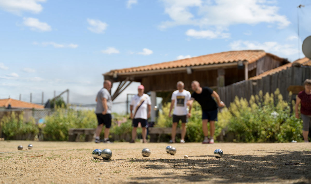 La Grand'Métairie Pays de Loire - Saint-Hilaire-la-Forêt visuel 11/28