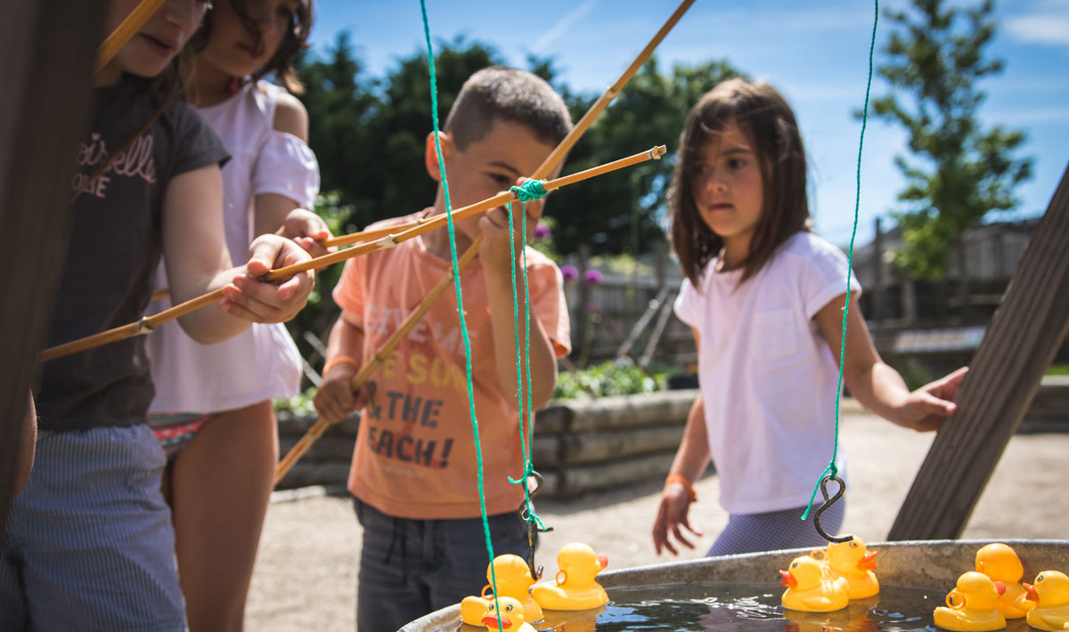 La Grand'Métairie Pays de Loire - Saint-Hilaire-la-Forêt visuel 24/28