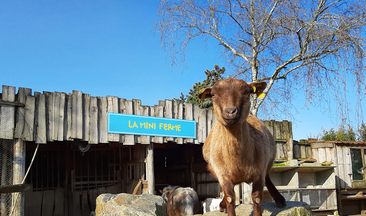 La Grand'Métairie Pays de Loire - Saint-Hilaire-la-Forêt visuel 18/28