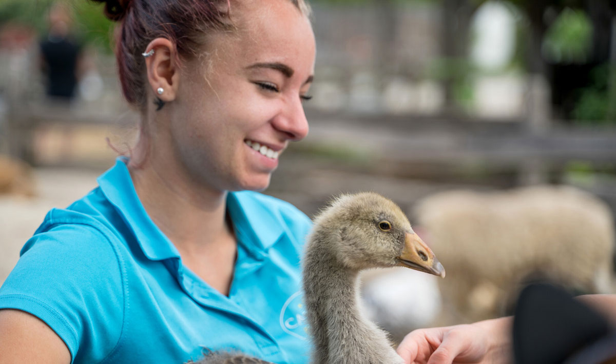 La Grand'Métairie Pays de Loire - Saint-Hilaire-la-Forêt visuel 23/28