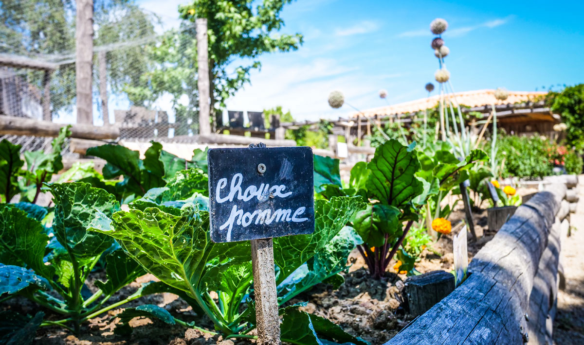 La Grand'Métairie Pays de Loire - Saint-Hilaire-la-Forêt visuel 25/28