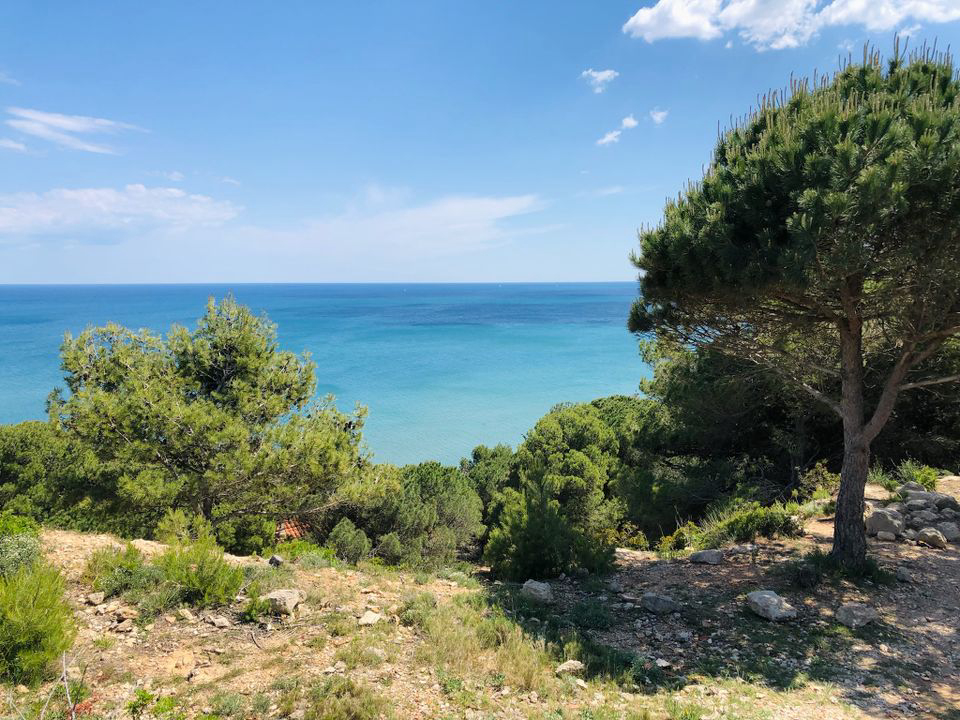 La Grange Neuve Languedoc-Roussillon - Sigean visuel 5/8