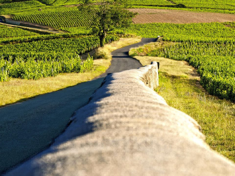 La Grappe Fleurie Rhône-Alpes - Fleurie visuel 7/16