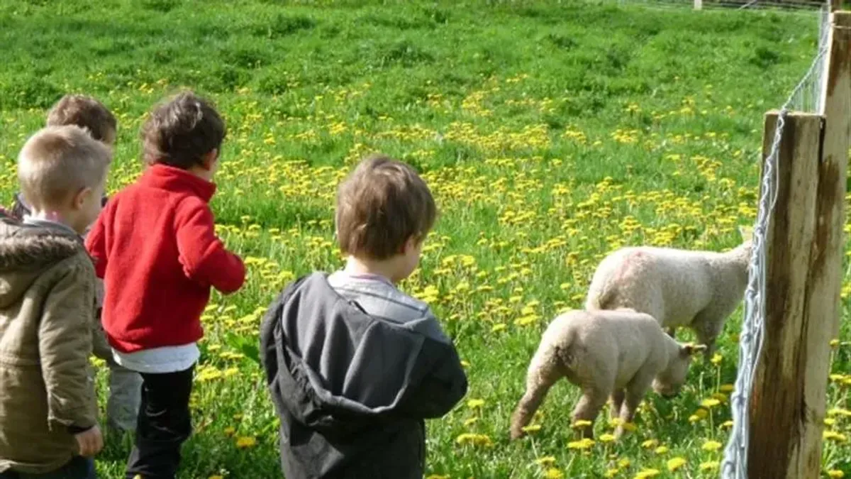 Camping La ferme de la Maison Neuve Pays de Loire - La Ferrière visuel 6/10
