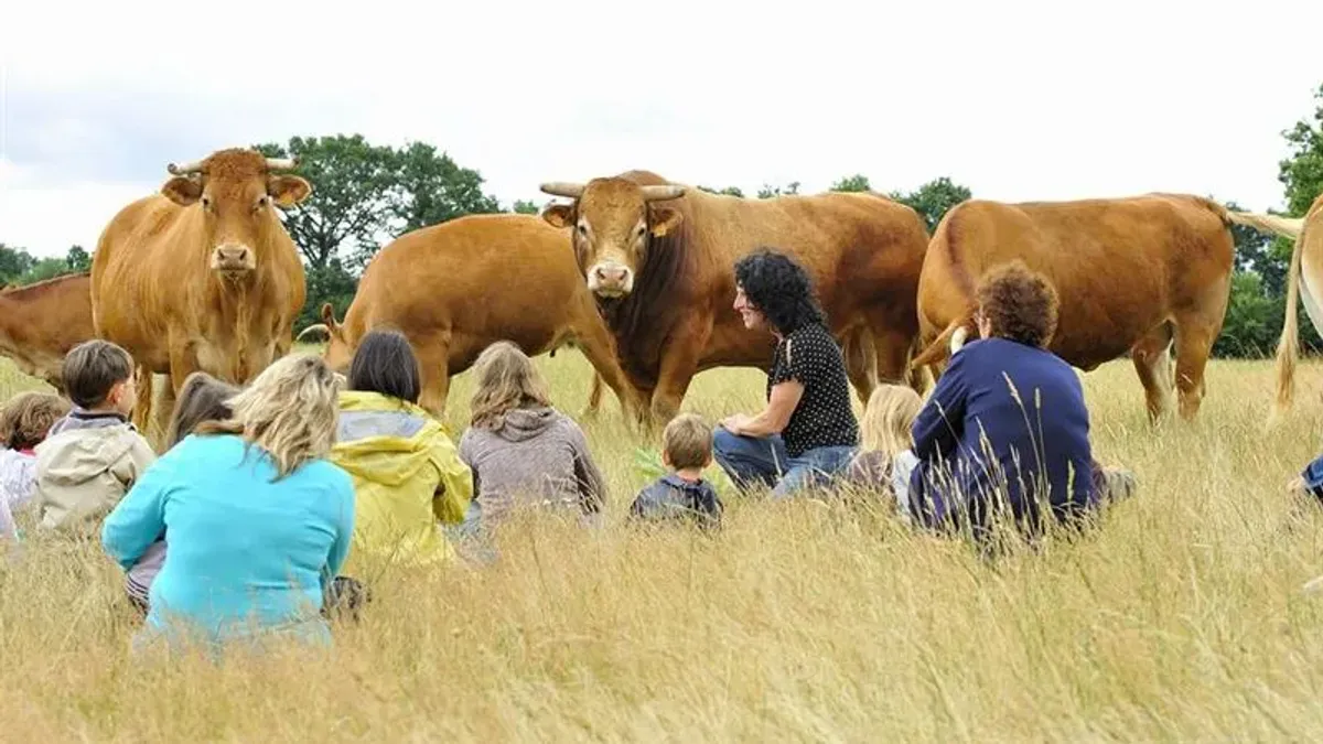 Camping La ferme de la Maison Neuve Pays de Loire - La Ferrière visuel 2/10
