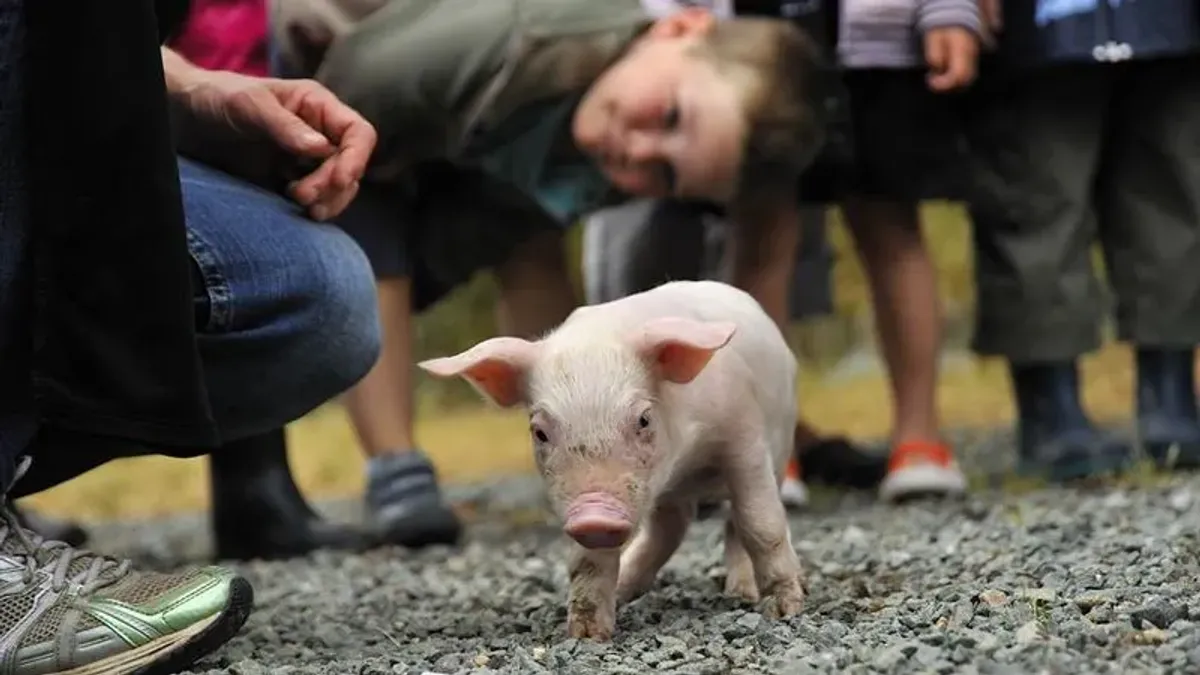 Camping La ferme de la Maison Neuve Pays de Loire - La Ferrière visuel 4/10