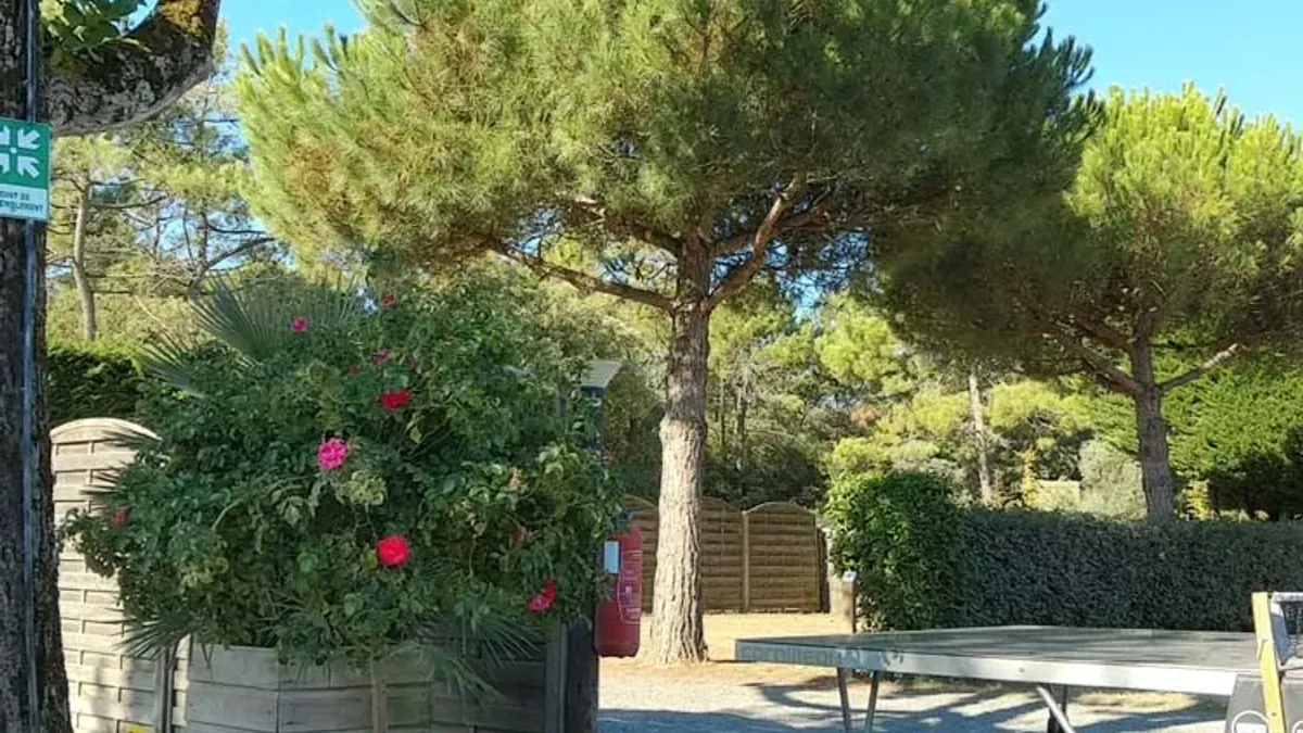 Camping La Paree Chalons Pays de Loire - Notre-Dame-de-Monts visuel 6/16