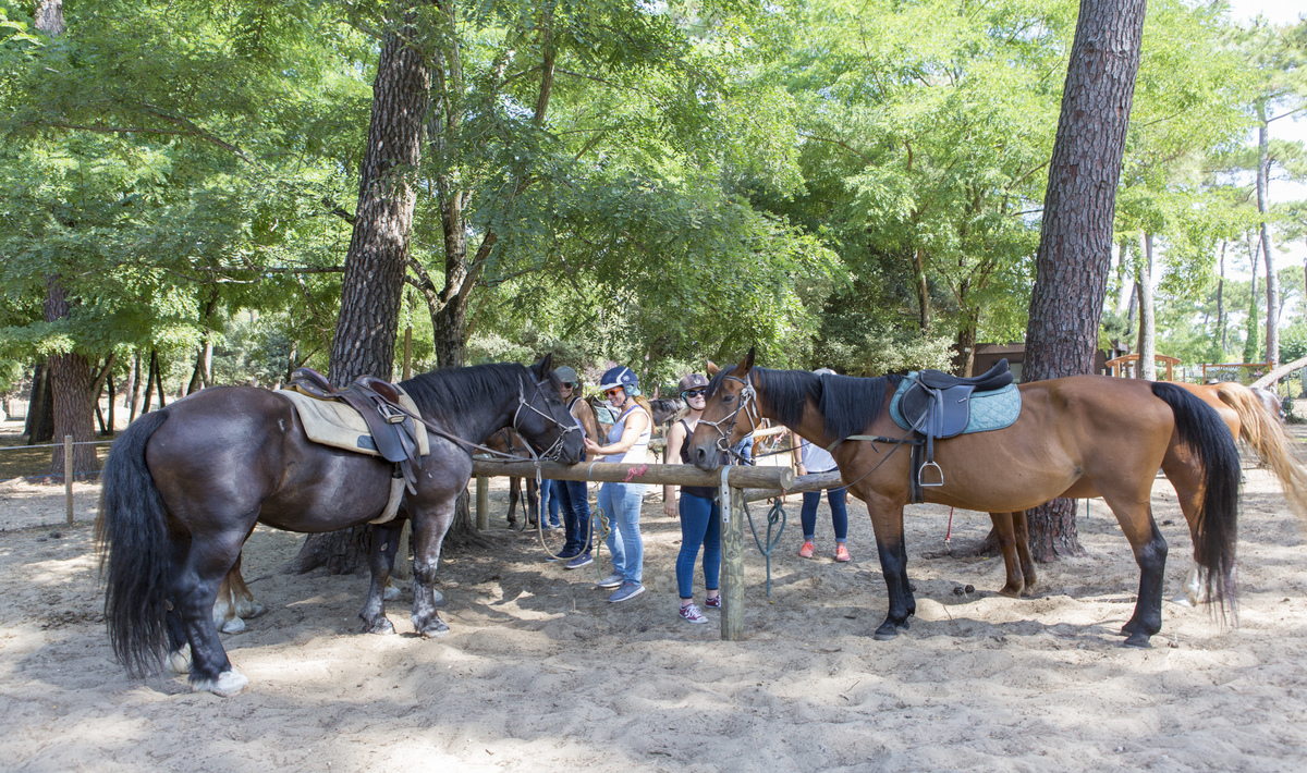 La Pignade Poitou-Charentes - Ronce-les-Bains visuel 11/22