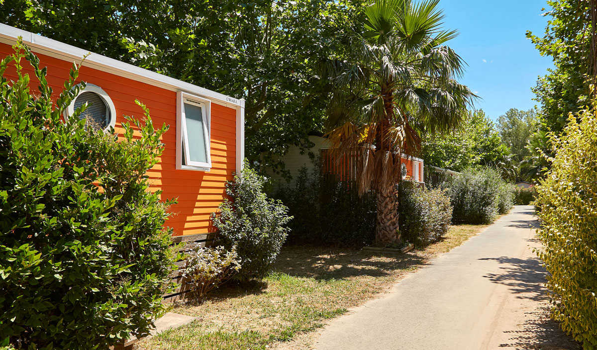 La Pinède Poitou-Charentes - Les Mathes-La Palmyre visuel 12/67