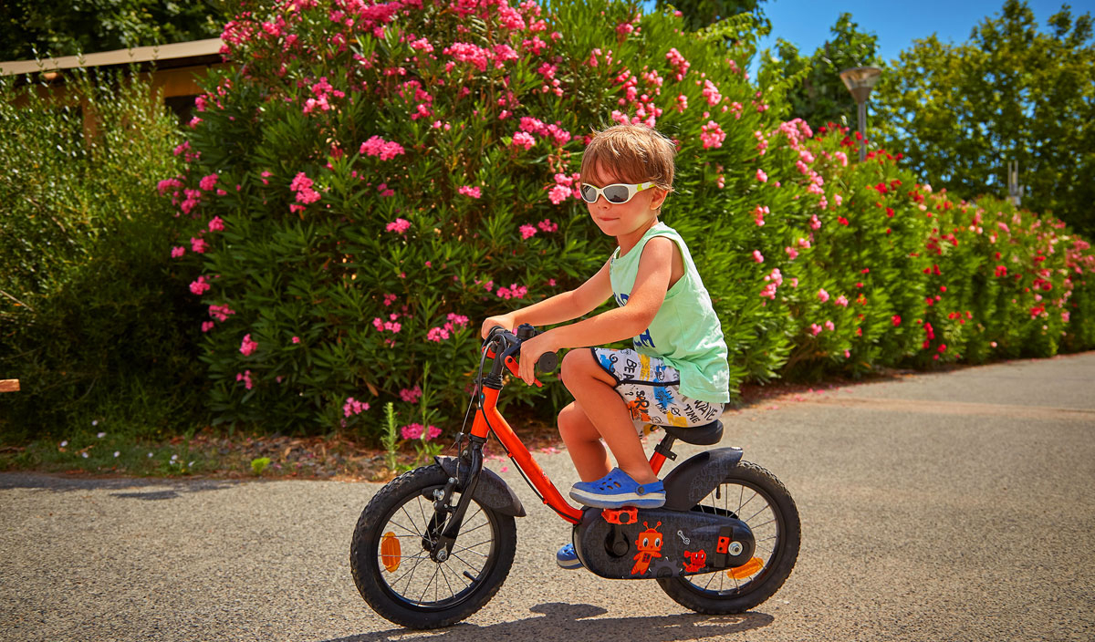 La Pinède Poitou-Charentes - Les Mathes-La Palmyre visuel 32/67