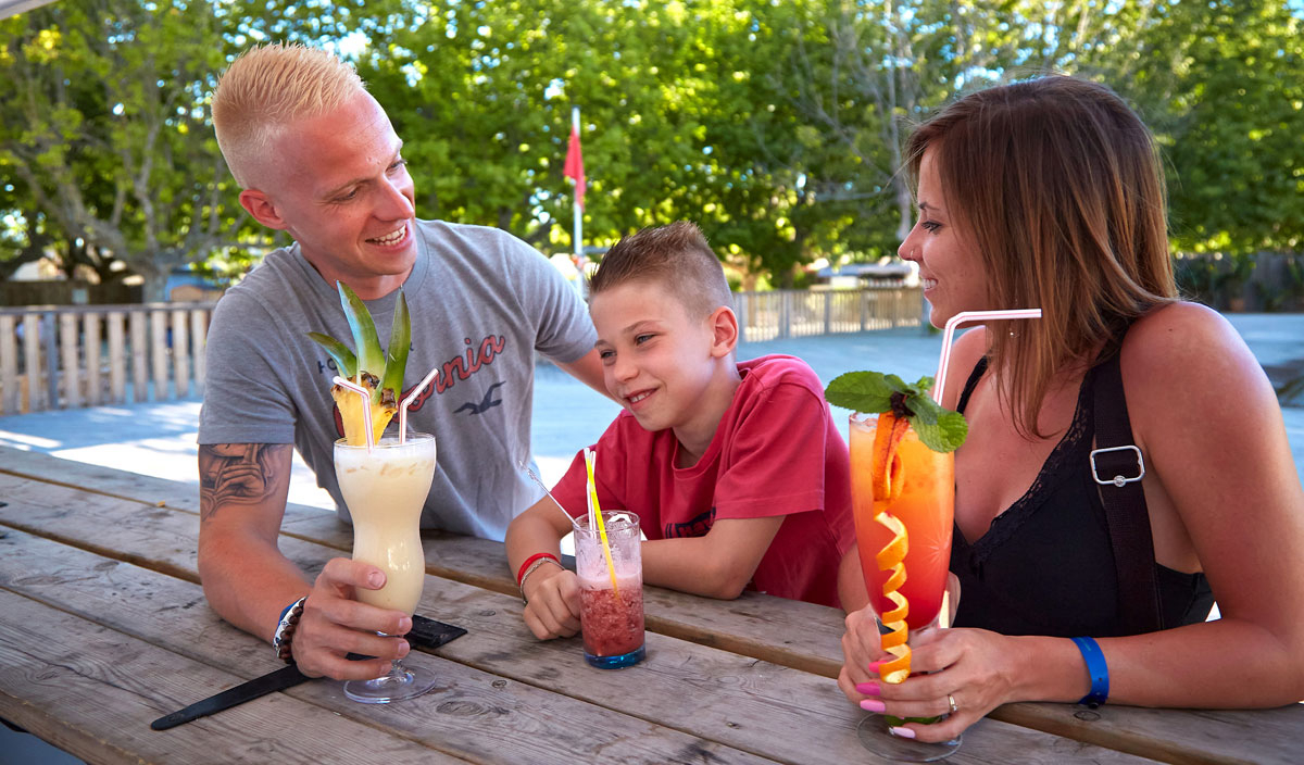 La Pinède Poitou-Charentes - Les Mathes-La Palmyre visuel 14/67