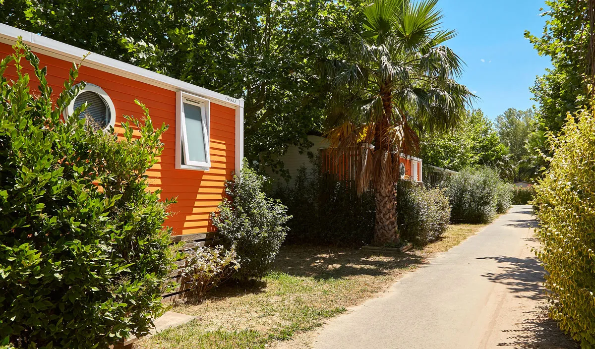 Camping La Plage d'Argens Provence-Alpes-Côte d'Azur - Saint-Aygulf visuel 5/36