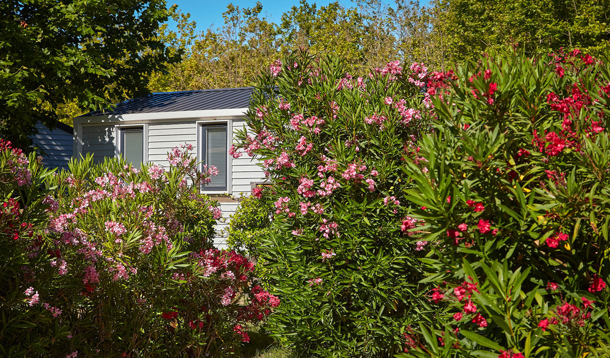La Plage d'Argens Provence-Alpes-Côte d'Azur - Saint-Aygulf visuel 33/36