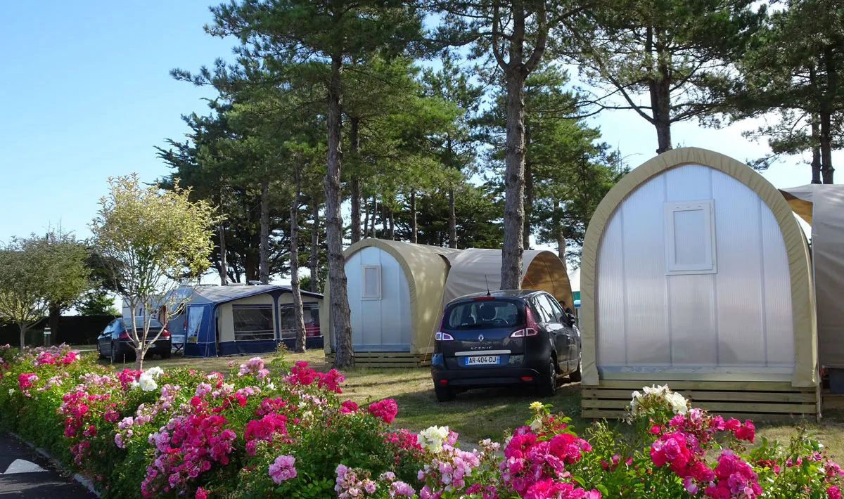 Camping La Renaudière Pays de Loire - La Plaine-sur-Mer visuel 5/9