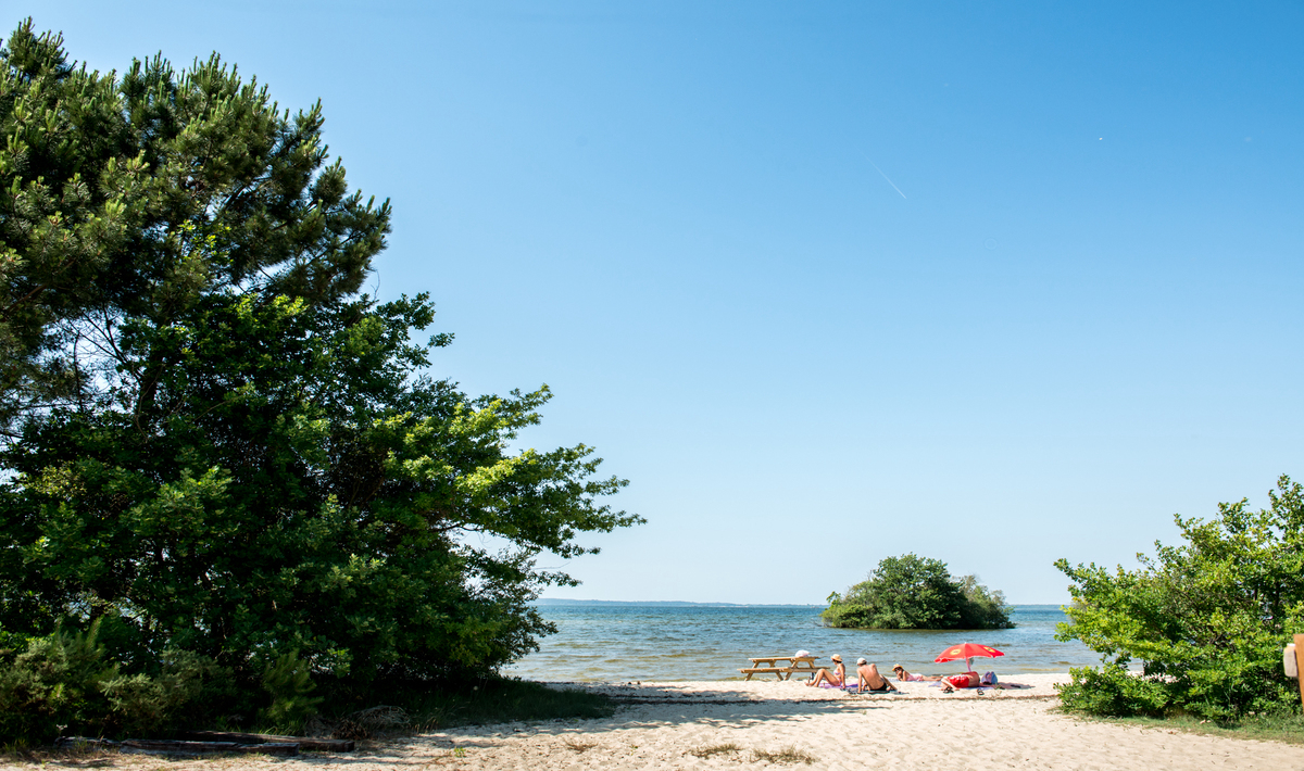 La Réserve Aquitaine - Gastes visuel 17/26