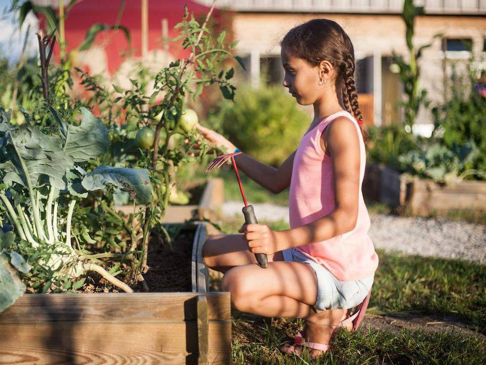 la Roche d'Ully Franche-Comté - Ornans visuel 6/7 la Roche d'Ully Franche-Comté - Ornans visuel 6/7