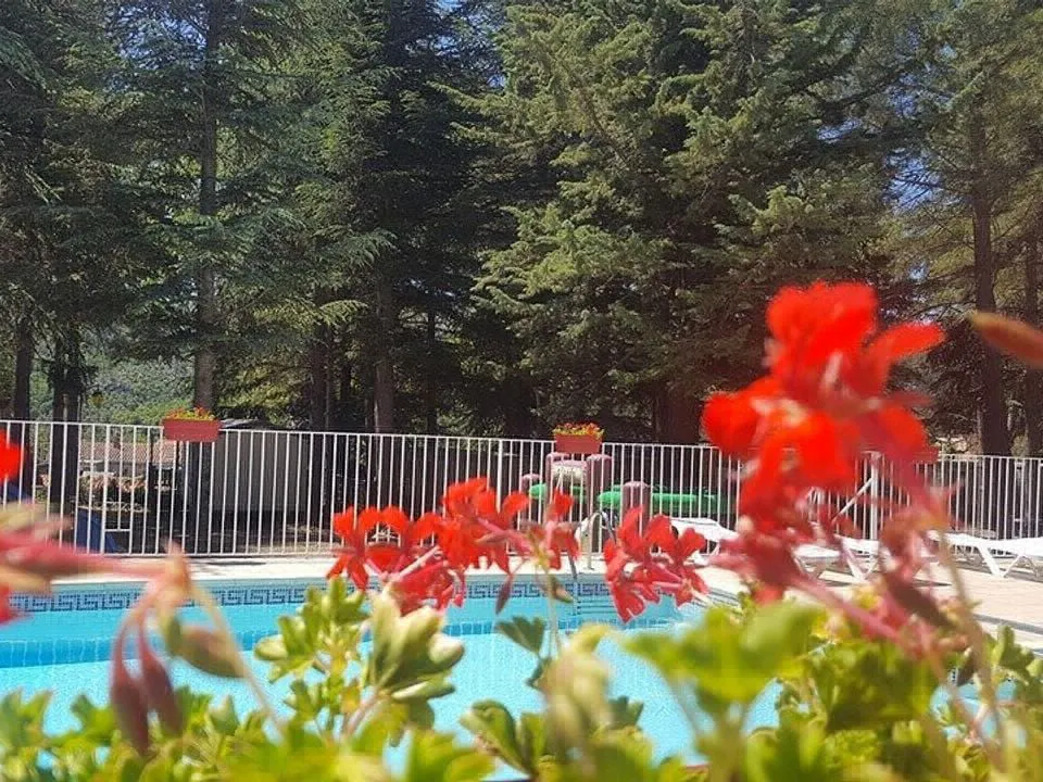 Camping La Source Languedoc-Roussillon - Sournia visuel 3/4