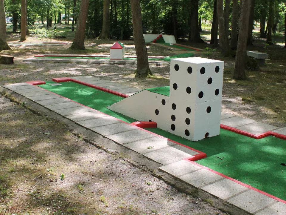 Camping La Vallée de l'Indre Grand Centre - Montbazon visuel 3/13