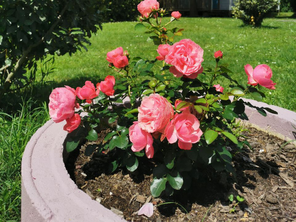 La Vallée de l'Indre Grand Centre - Montbazon visuel 8/13