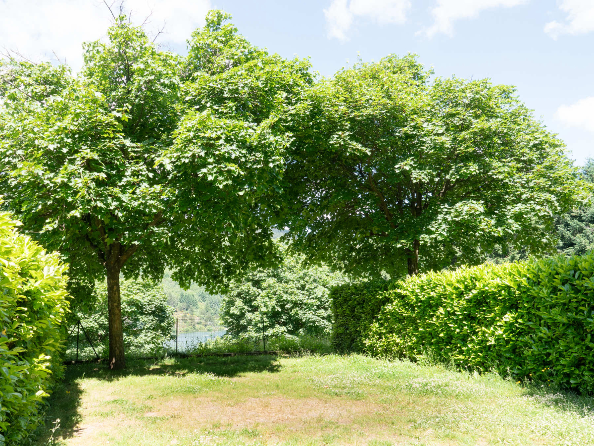 Lac de Villefort Languedoc-Roussillon - Villefort visuel 15/20