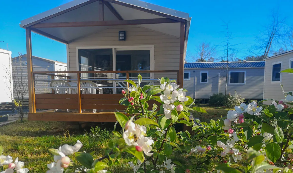Camping Landes Azur Aquitaine - Azur visuel 15/23