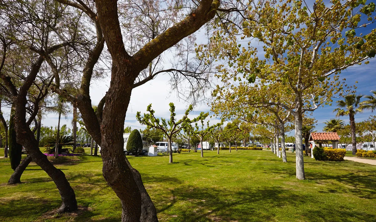 Camping Las Palmeras Costa Brava - Sant Pere Pescador visuel 18/22