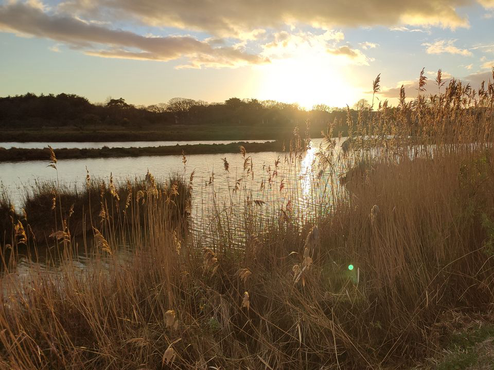 Le Beaupré Pays de Loire - Mesquer visuel 1/4