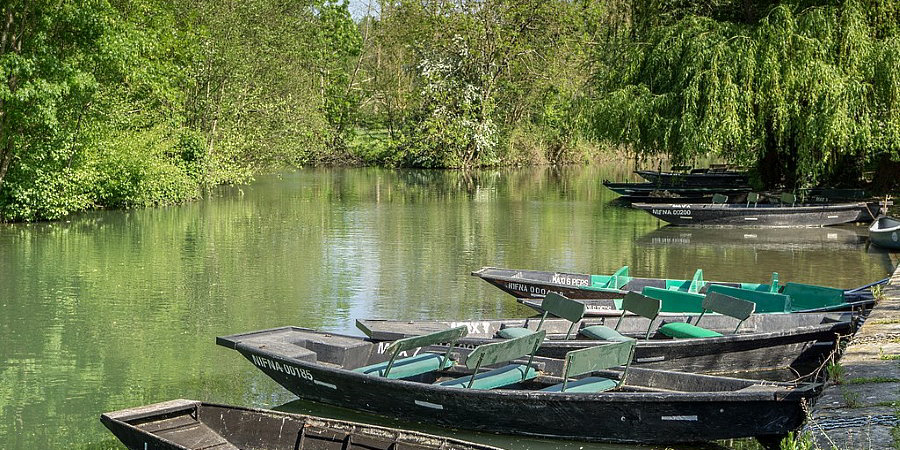 le Bois Dinot Poitou-Charentes - Marans visuel 5/8